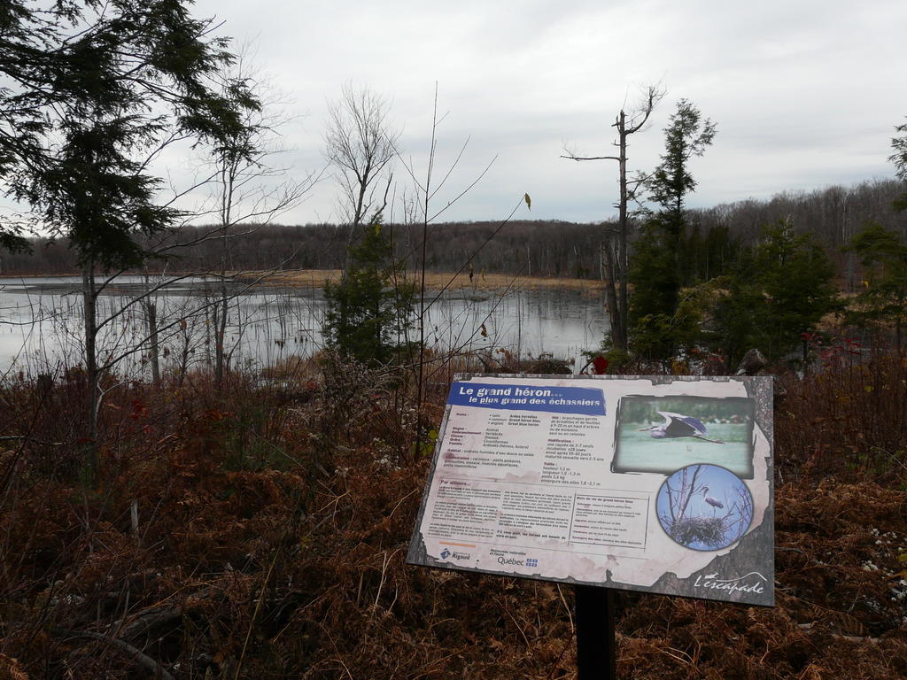 Auberge Des Gallant Rigaud Kültér fotó