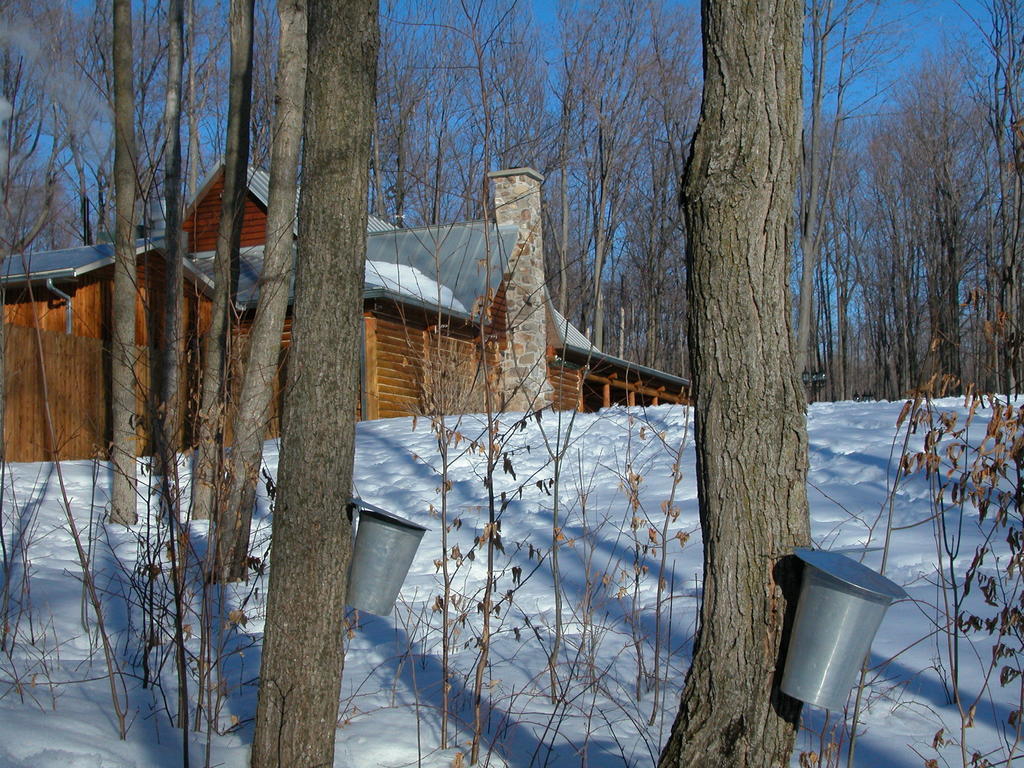 Auberge Des Gallant Rigaud Kültér fotó