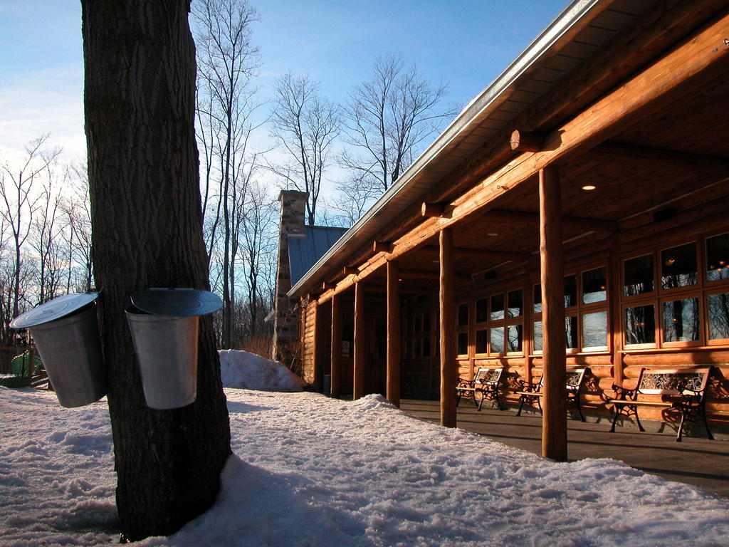 Auberge Des Gallant Rigaud Kültér fotó