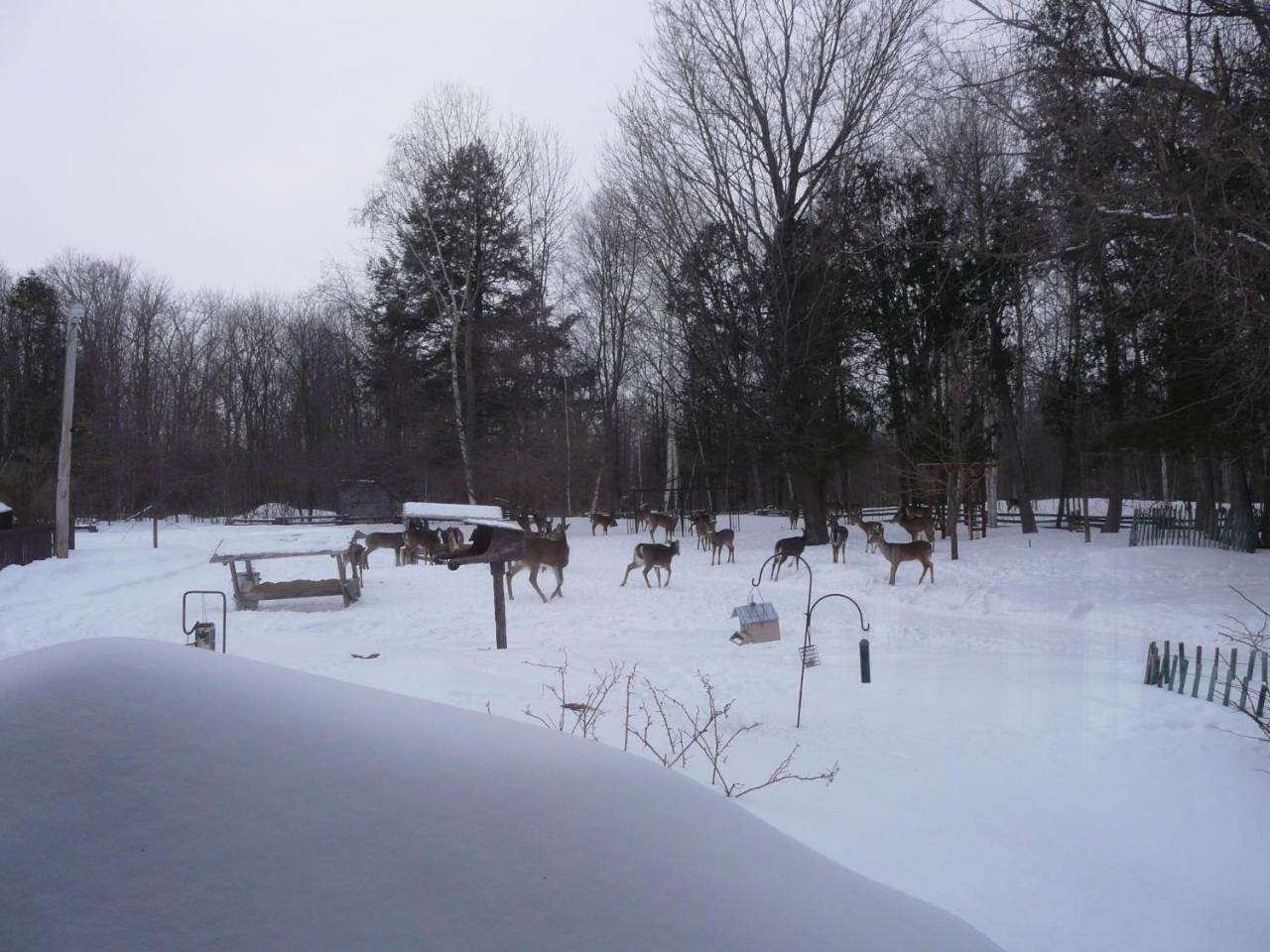 Auberge Des Gallant Rigaud Kültér fotó